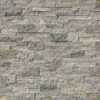 Msi Silver Splitface Ledger Panel 6 In. X 24 In. Natural Travertine Wall Tile, 6PK ZOR-PNL-0096